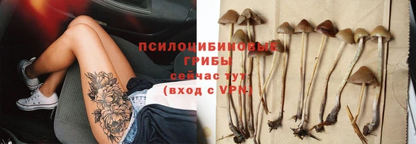 apvp Алзамай
