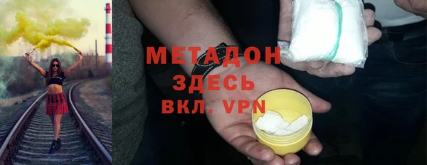 хмурый Аркадак