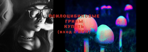 хмурый Аркадак