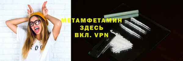 хмурый Аркадак