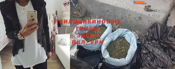 прущие грибы Алексеевка