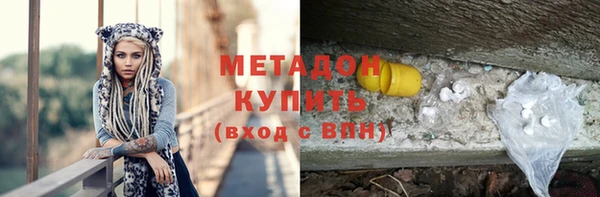 хмурый Аркадак