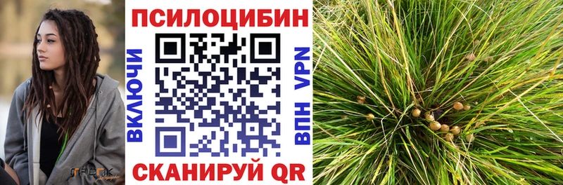 Псилоцибиновые грибы мухоморы  где купить   Радужный 
